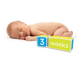 Pearhead Baby age Blocks Blue