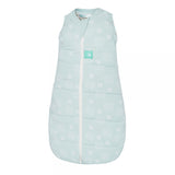 ergoCocoon Winter Swaddle and Sleep Bag (2.5 tog) - Mint Star